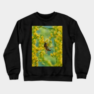 Out on a limb Crewneck Sweatshirt